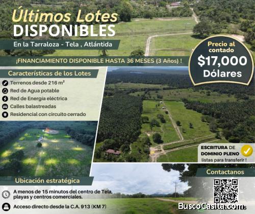 Venta De Lotes, Quinta Villa Hermosa, Sector La Tarraloza, Km 7 (Ultimos Lotes)