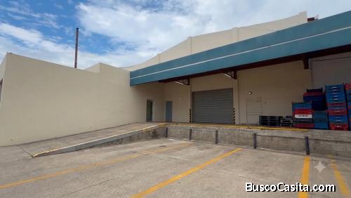 Bodega en Renta 764 m² – Sector 33 Calle.