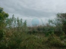 Id1064-Finca Agricola en venta - Managua , Memorial Sandino