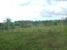 Id1067-Terreno en venta - Managua , Carretera Sur