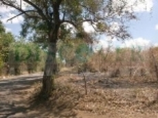 Id1282-Terreno en venta - Managua , Carretera Norte