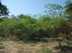 Id1369-Terreno en venta - Managua , Carretera Sur