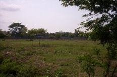 Id1431-Terreno en venta - Managua , Carretera Norte