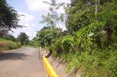Id1461-Terreno en venta - Managua , Avenida Jean Paul Genie
