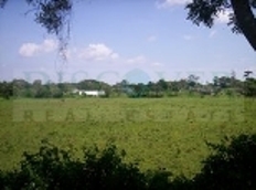 Id1470-Terreno en venta - Managua , Carretera Nueva Leon