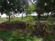 Id1488-Terreno en venta - Managua , San Isidro de la Cruz Verde