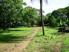 Id1561-Terreno en venta - Managua , Carretera Masaya
