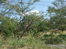 Id1562-Terreno en venta - Managua , Carretera Sur
