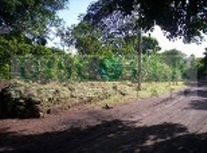 Id1570-Finca Agricola en venta - Managua , Carretera Vieja Leon
