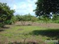 Id1610-Terreno en venta - Managua , Sabana Grande