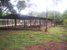 Id1828-Finca Agricola en venta - Granada , Reparto El Escudo