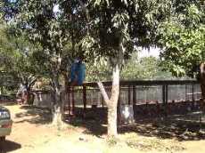Id1900-Finca Agricola en venta - Masaya , Masatepe