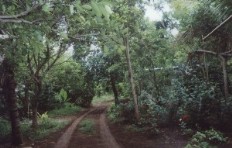 Id1988-Finca Agricola en venta - Masaya , Masatepe