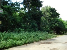 Id2023-Terreno en venta - Managua , Carretera Sur