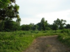 Id2037-Terreno en venta - Managua , Satelite de Asososca