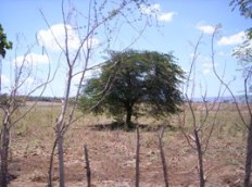 Id2040-Terreno en venta - Managua , Carretera Masaya