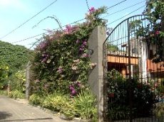 Id2052-Apartamentos en alquiler - Managua , Carretera Sur