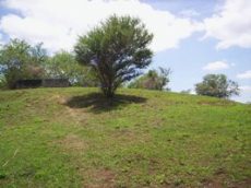 Id2054-Terreno en venta - Managua , San Isidro de la Cruz Verde