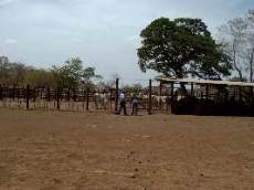 Id2125-Finca Agricola en venta - Carazo , La Boquita