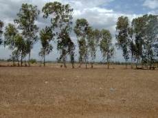 Id2126-Finca Agricola en venta - Managua , Tipitapa