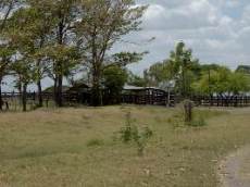 Id2127-Finca Agricola en venta - Masaya , Tisma