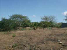 Id2168-Terreno en venta - Managua , Carretera Masaya