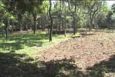 Id2200-Terreno en venta - Managua , Campo Bello