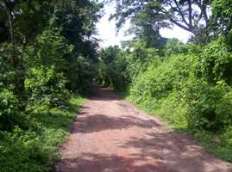 Id2222-Terreno en venta - Managua , Carretera Nueva Leon