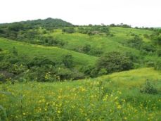 Id2318-Terreno de Playa en venta - Rivas , San Juan del Sur