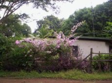 Id2326-Casa en venta - Managua , Carretera Masaya