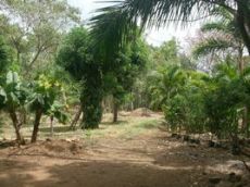Id2366-Terreno en venta - Managua , Las Colinas