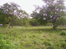 Id2368-Terreno en venta - Managua , Villa Fontana