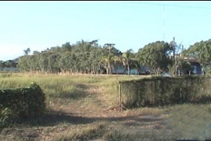 Id2374-Terreno en venta - Managua , Carretera Norte