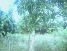 Id2392-Terreno en venta - Managua , Ticuantepe