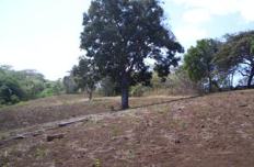 Id2441-Terreno en venta - Managua , Jocote Dulce