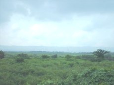 Id2460-Terreno en venta - Managua , Ciudad Sandino