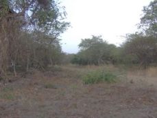 Id2461-Terreno de Playa en venta - Managua , Pochomil