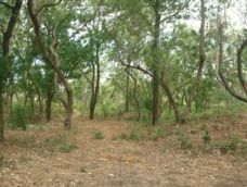 Id2519-Terreno en venta - Managua , Las Colinas