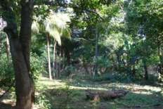 Id2526-Terreno en venta - Managua , Carretera Masaya
