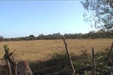 Id2527-Zona Franca en venta - Managua , Sabana Grande
