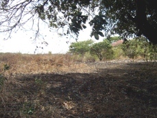 Id2566-Terreno en venta - Managua , Pista Suburbana