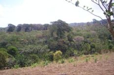 Id2571-Finca Agricola en venta - Managua , San Isidro de la Cruz Verde