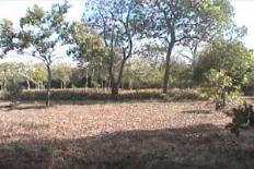 Id2587-Terreno en venta - Carazo , Diriamba
