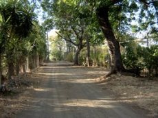 Id2607-Terreno en venta - Managua , Carretera Sur