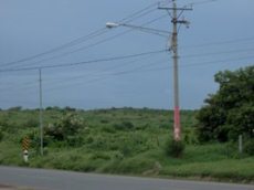 Id2615-Terreno en venta - Managua , Carretera Nueva Leon