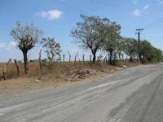 Id2616-Finca Agricola en venta - Managua , Carretera Masaya