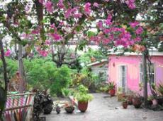 Id2622-Finca Agricola en venta - Managua , Carretera Vieja Leon