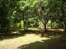 Id2637-Terreno en venta - Managua , Carretera Masaya