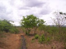 Id2668-Finca Agricola en venta - Managua , Carretera Masaya