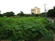 Id2740-Terreno en venta - Managua , Residencial los Robles